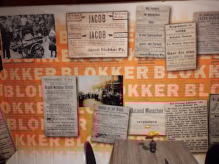 IMG_20241113_164832526