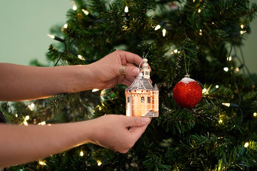 3. EVAASPHOTOS_NIJMEEGSEBALLEN_HIGHRES_SQUARE00489 deze